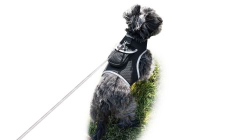 Remote Pet Surveillance Pet Tracker Waterproof Collar Mounted GPS for Pet Size:S