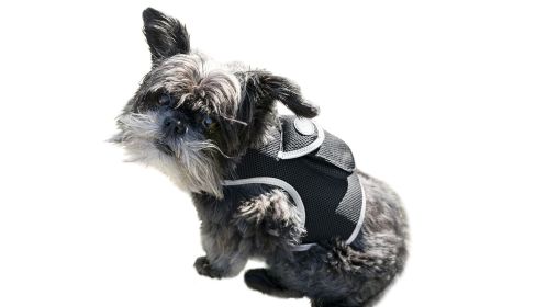 Track Pets Anywhere with Pet Tracker Waterproof GPS Tracking Chip for Dogs Size:XL