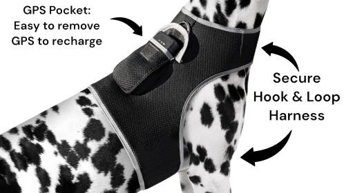 Mini Collar Rechargeable Tracker Portable Realtime GSM GPS Pet Tracker Size:S