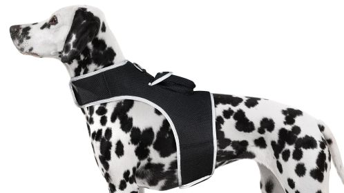 Mini GSM GPS Pet Collar Tracking Device for Remote Locality Monitoring Size:S