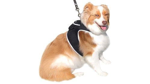 High Quality Cat Locator Device Collar Mount Realtime GPS Pet Tracker Size:S