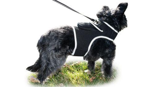 Dependable Cell Phone GPS Tracking Collar Mount Waterproof Pet Locator Size:S