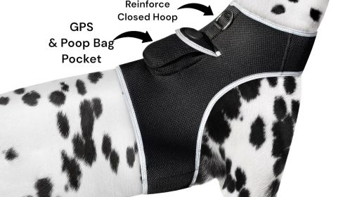 NEW Rechargeable GSM Cat Dog GPS Collar Tracking Device for Pet Safety Size:XS