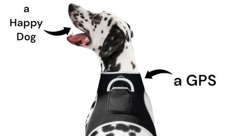 Realtime GSM GPRS Waterproof Pet Tracker for Dogs/Cats with Phone App Size:XL