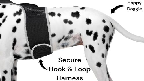 Portable Realtime Remote Surveillance GPS Pet Tracker for Phone w/ App Size:S