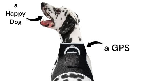 Pet Tracker Realtime Surveillance Locator Wireless GPS Tracking for Dog Size:M