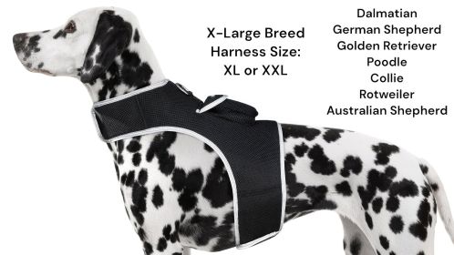 Precise Realtime Dog Tracking GPS GSM System Collar Mount Pet Tracker Size:L