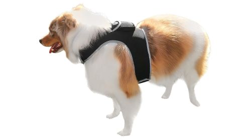 GSM GPRS GPS Tracking Dog Collar Tracker Waterproof Wireless Locator Size:L