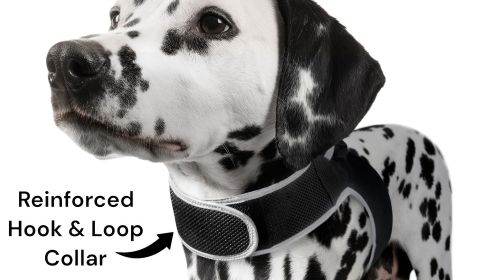 Low Cost USB Rechargeable Waterproof GPS Tracker Pet Tracking Device Size:L